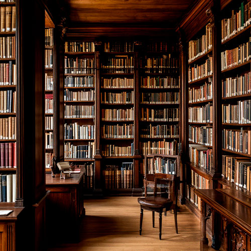 Предмет Литература